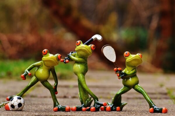 Membangun Atlet Muda: Peranan Fasilitas PSSI Tangerang